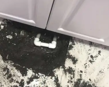 环翠查漏水哪家好