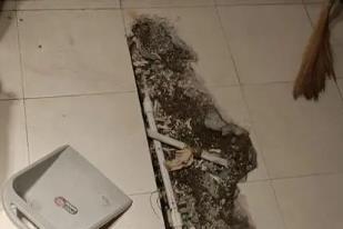 环翠卫生间漏水检测电话